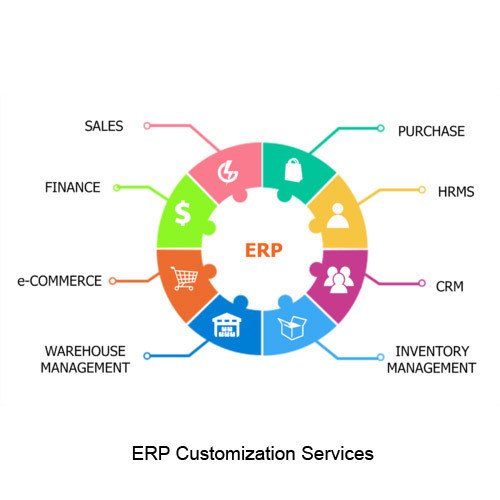 ERP Customization Services - DNSTech